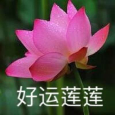 北京昌平宏福苑下调风险级别 大连日新增确诊降至个位数